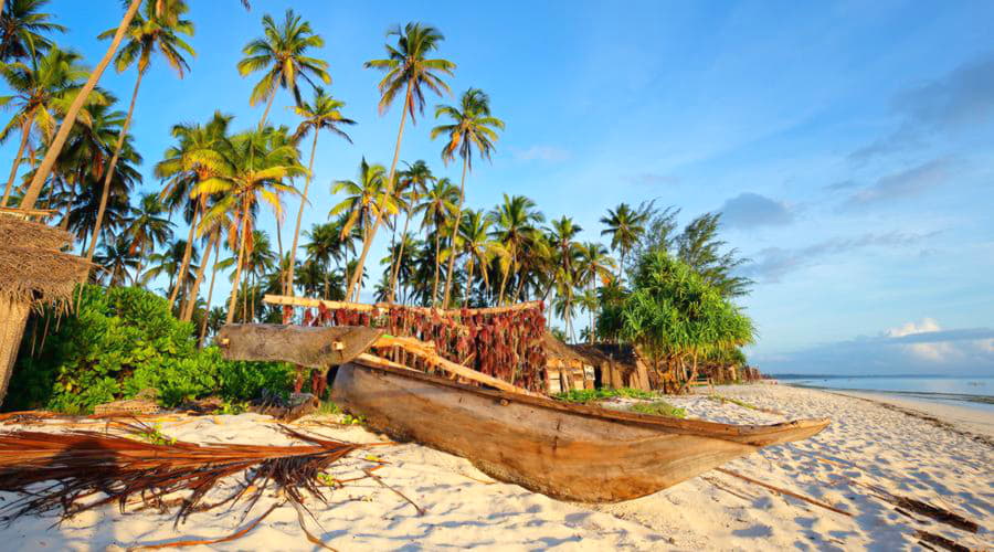 Opções de veículos mais populares no aeroporto de Zanzibar